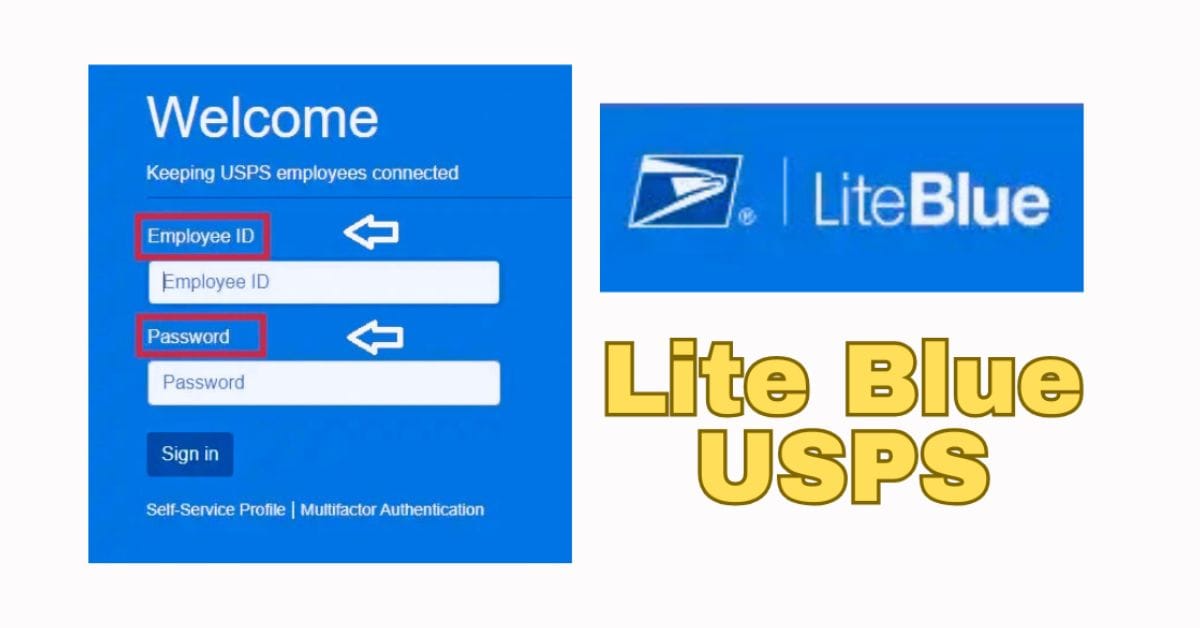 liteblue usps